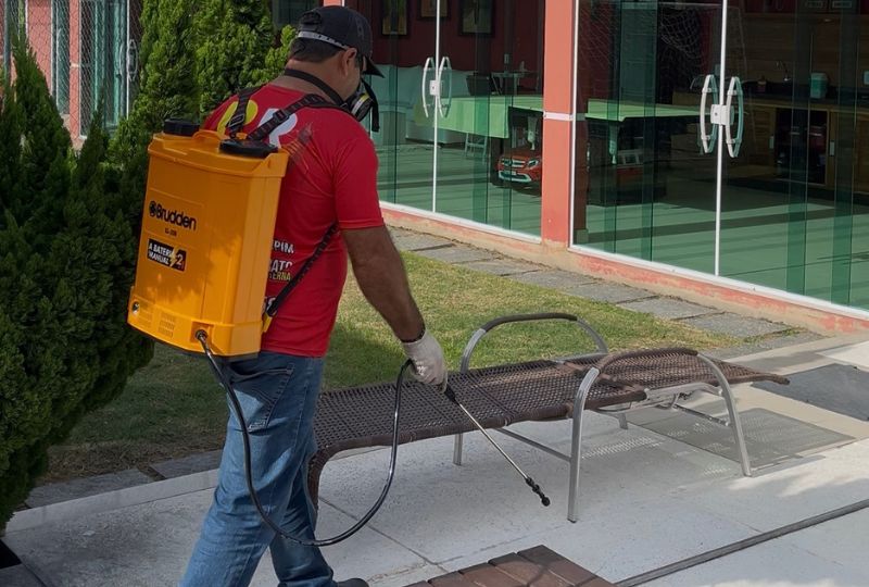 Dedetização de Insetos